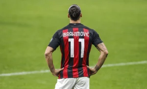 Zlatan Ibrahimovic syskon